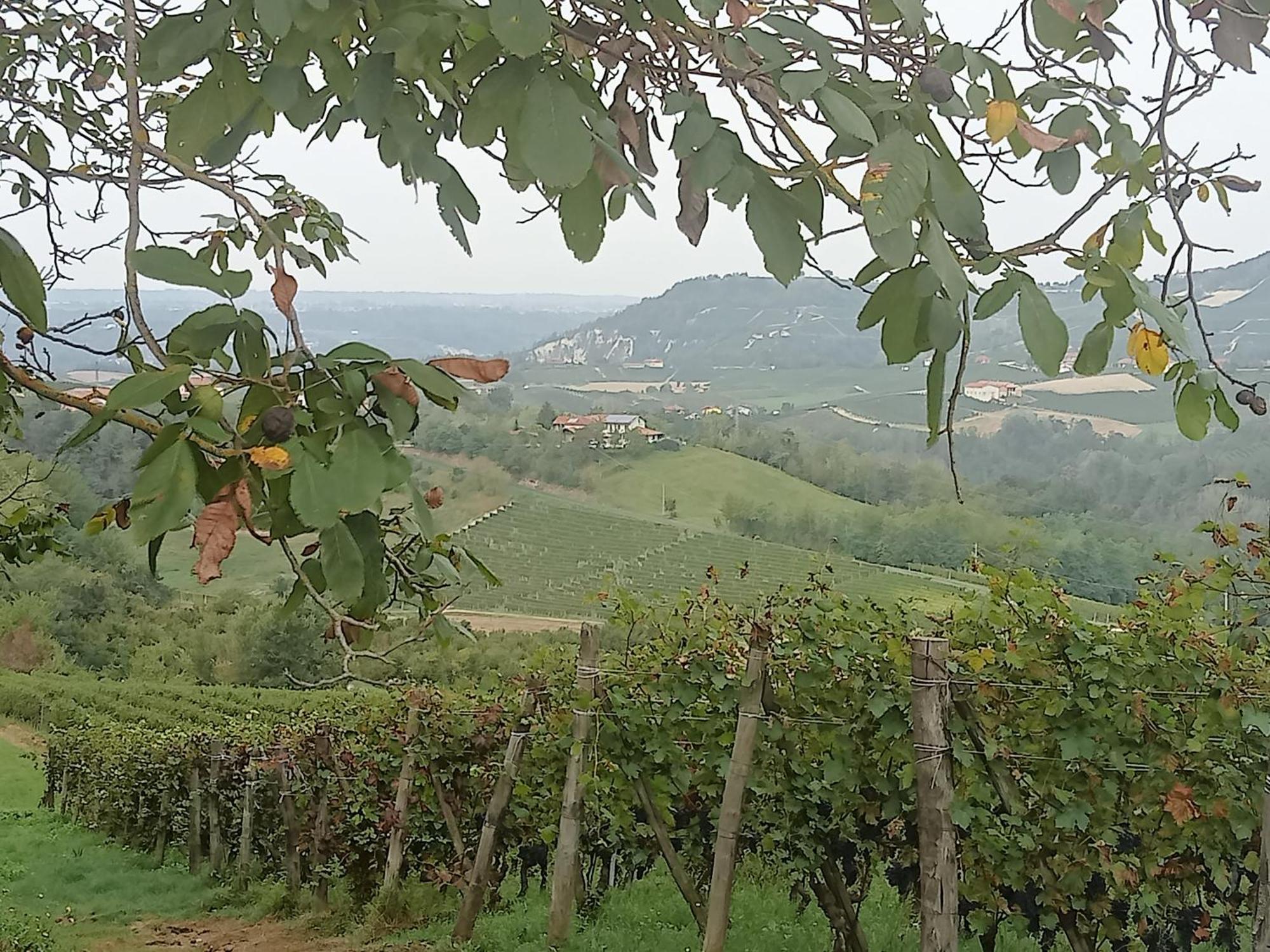 Agriturismo Bric Di Gai Monforte D'Alba Bagian luar foto