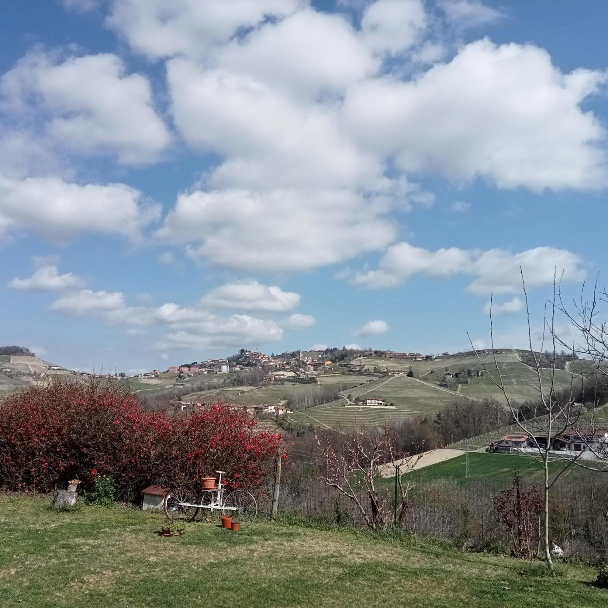 Agriturismo Bric Di Gai Monforte D'Alba Ruang foto